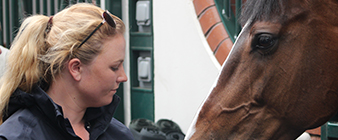 British Equestrian’s Young Professionals Programme welcomes new cohort of aspiring equestrian entrepreneurs