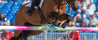 Experienced names join British Equestrian showjumping team support staff