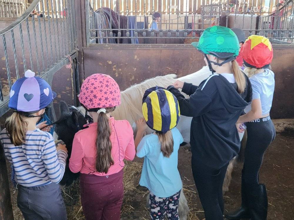 Kingsleigh’s Equine Education Centre: creating a legacy of pony-mad children