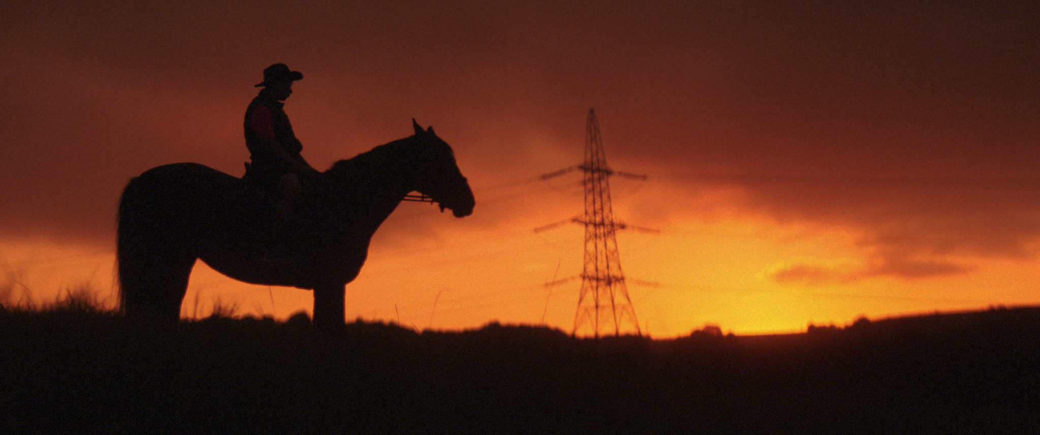 Stepney Western: A film project spotlighting the power of horses and alternative education in the city