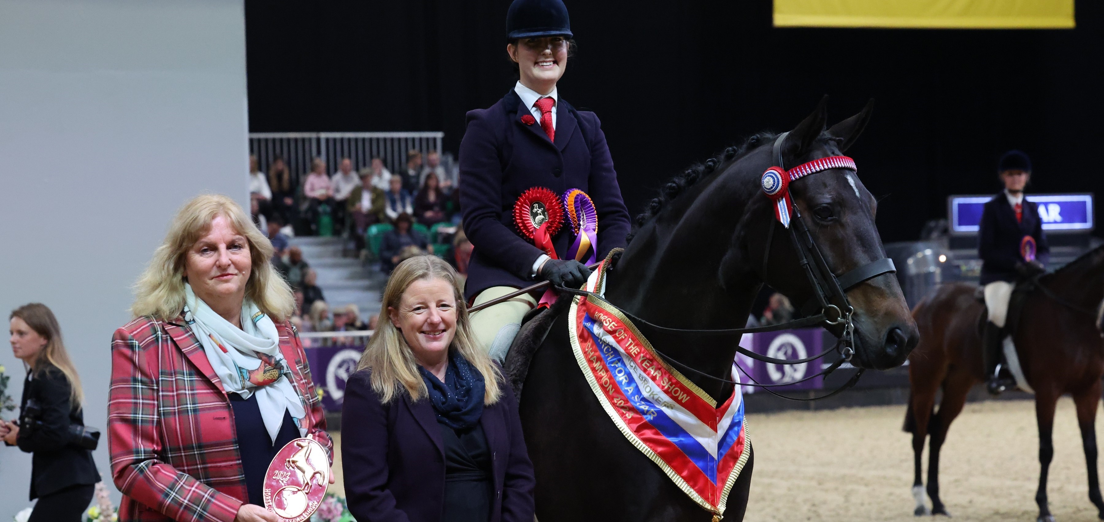 Homebred Hack on a high in SEIB Search for a Star HOYS Final
