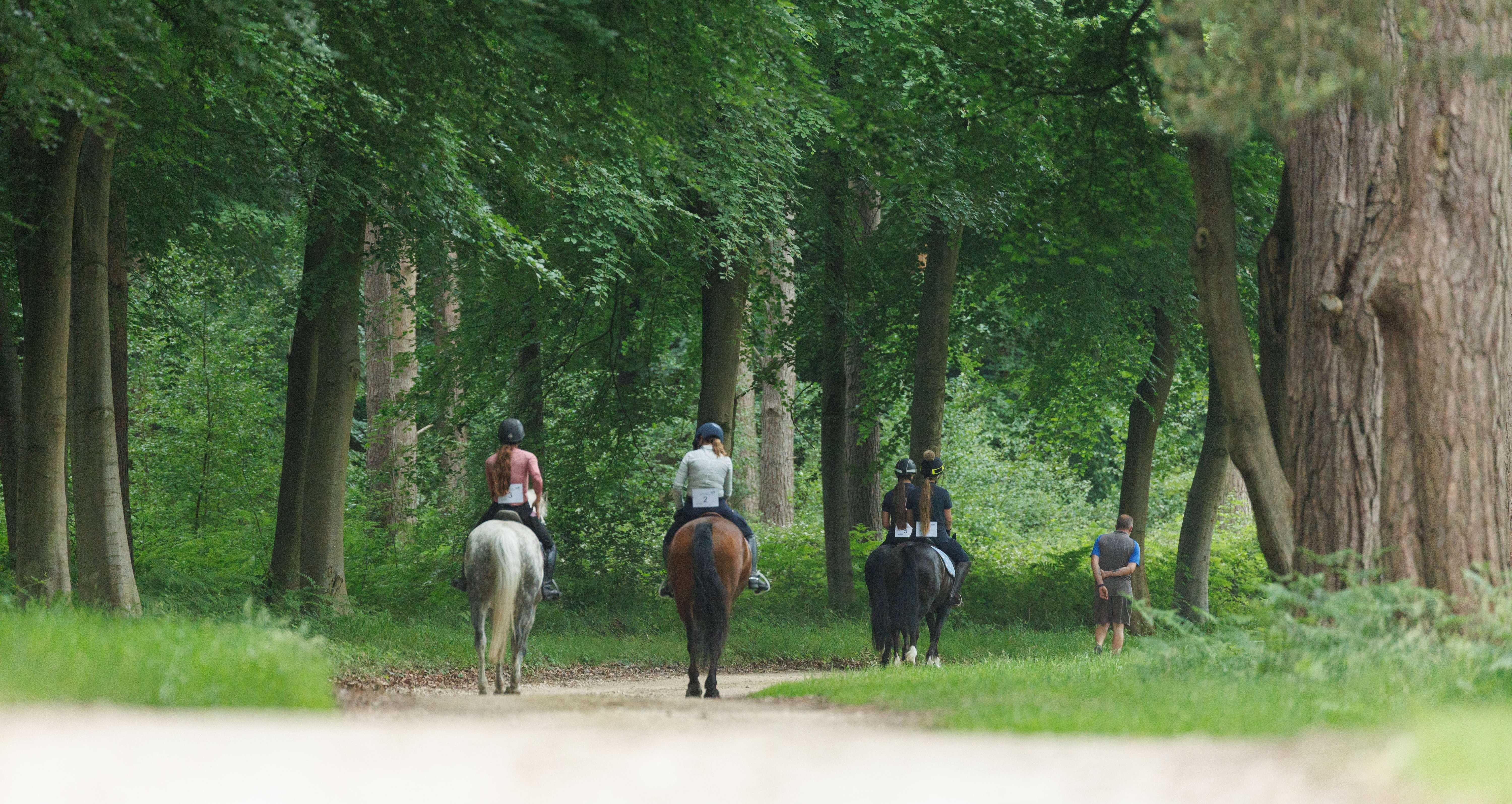 A year in review: What happened in 2025