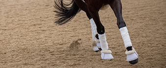 Important advisories from GAIN Equine Nutrition