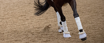 COVID-19: Indoor arena use in England