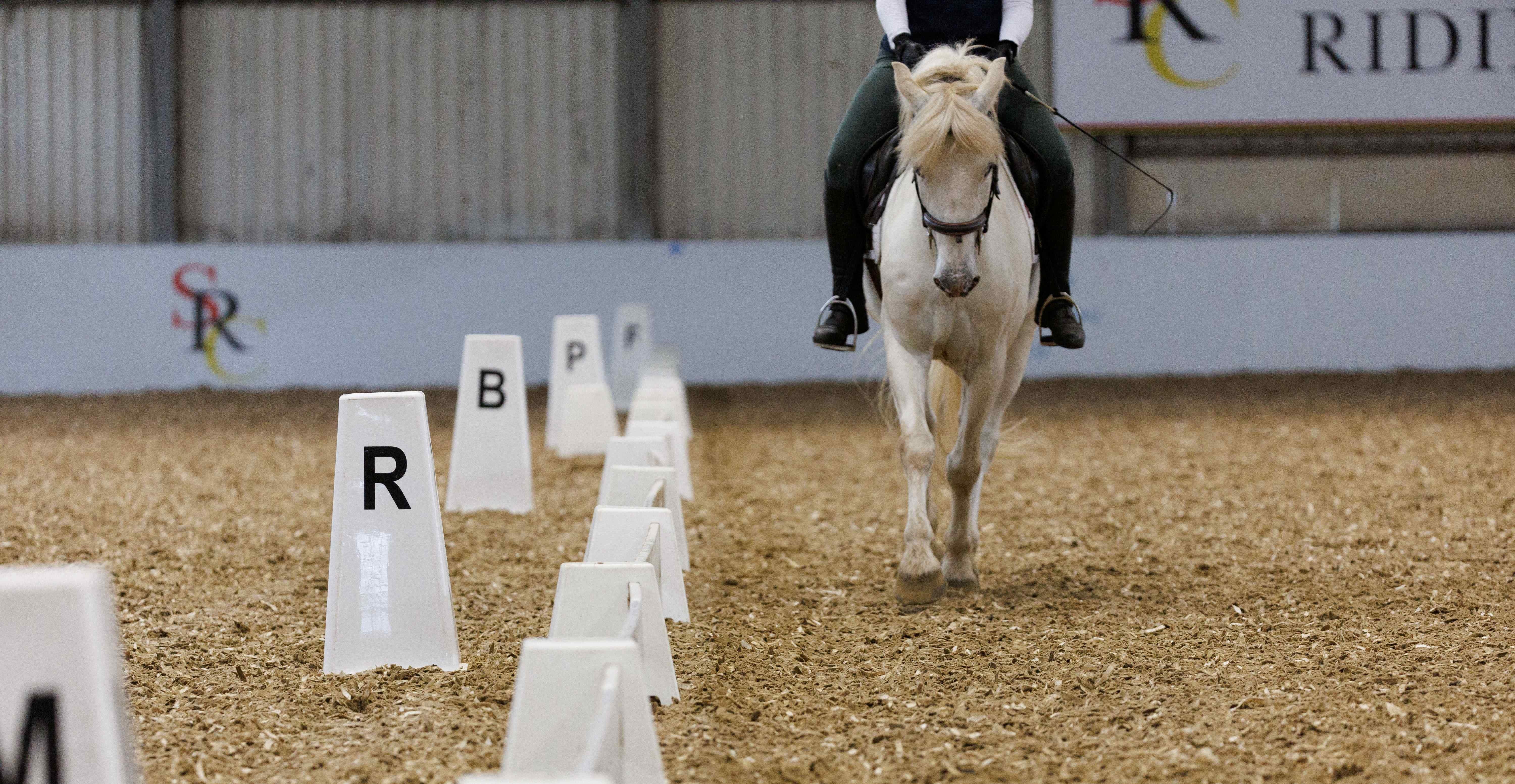 D&H announced as sponsors of two major British Dressage championships