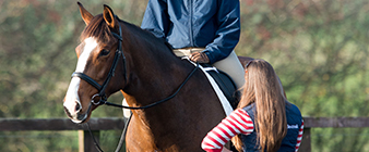 British Equestrian launches bursary to grow and support coaching workforce