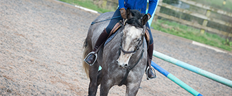 Outdoor equestrian facilities can now reopen in England