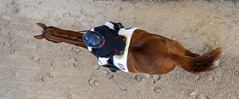 LA28, here we come: Britain’s para dressage squad book their Paralympic ticket