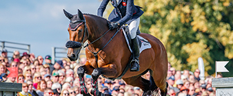 Bates Saddles announced as the Official Saddle Partner to British Equestrian