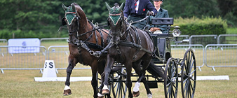 British Carriagedriving announces squad for FEI World Championship for Horse Pairs