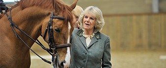 Royal Patronage continues for British Equestrian