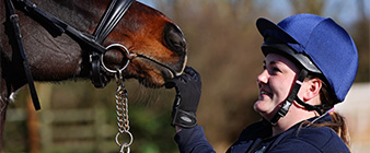 Key takeaway messages from Equine Health Week 2026