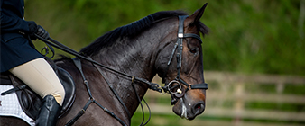 Change to British eventing team competing at CHIO Aachen