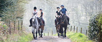 New lockdown measures increase equestrian activity across Great Britain