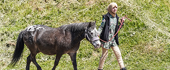 #HorsesForAll: six months of change, achievement and progress