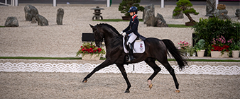 Lottie Fry shines in first day of Grand Prix dressage in Tokyo