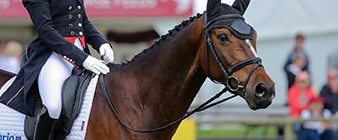 Update to the eventing nominated entries for Paris 2024 Olympic Games