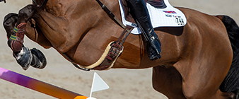 British Equestrian announces definite entries for FEI Showjumping World Championship