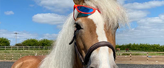Sun safety tips for Sunguarding Sport
