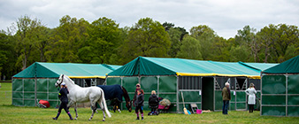 Pioneering step in the fight against the spread of equine disease