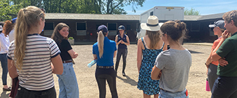 British Equestrian opens applications for a new cohort of its Young Professionals Programme
