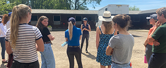 British Equestrian opens applications for a fifth cohort of its Young Professionals Programme