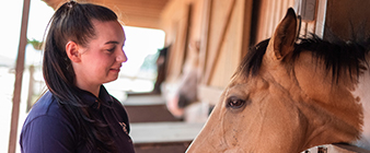 What's the future for managing horse passports and information?