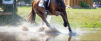 Eventing nominated entries for Tokyo 2020 Olympic Games announced