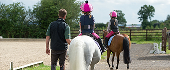 British Equestrian seeks research and mapping partner on a vital coaching project