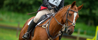 Leadership appointments at British Equestrian