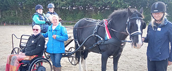 Carriage Driving Sport Group hold successful coaching clinic for para-drivers