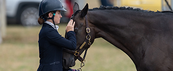 British Equestrian launches Psychological Factors Underpinning Young Rider Development information booklet