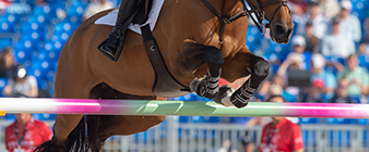 British Showjumping Team announced for CSIO4* Wellington FEI Nations Cup