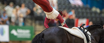 British Equestrian Vaulting announces teams for World Championships