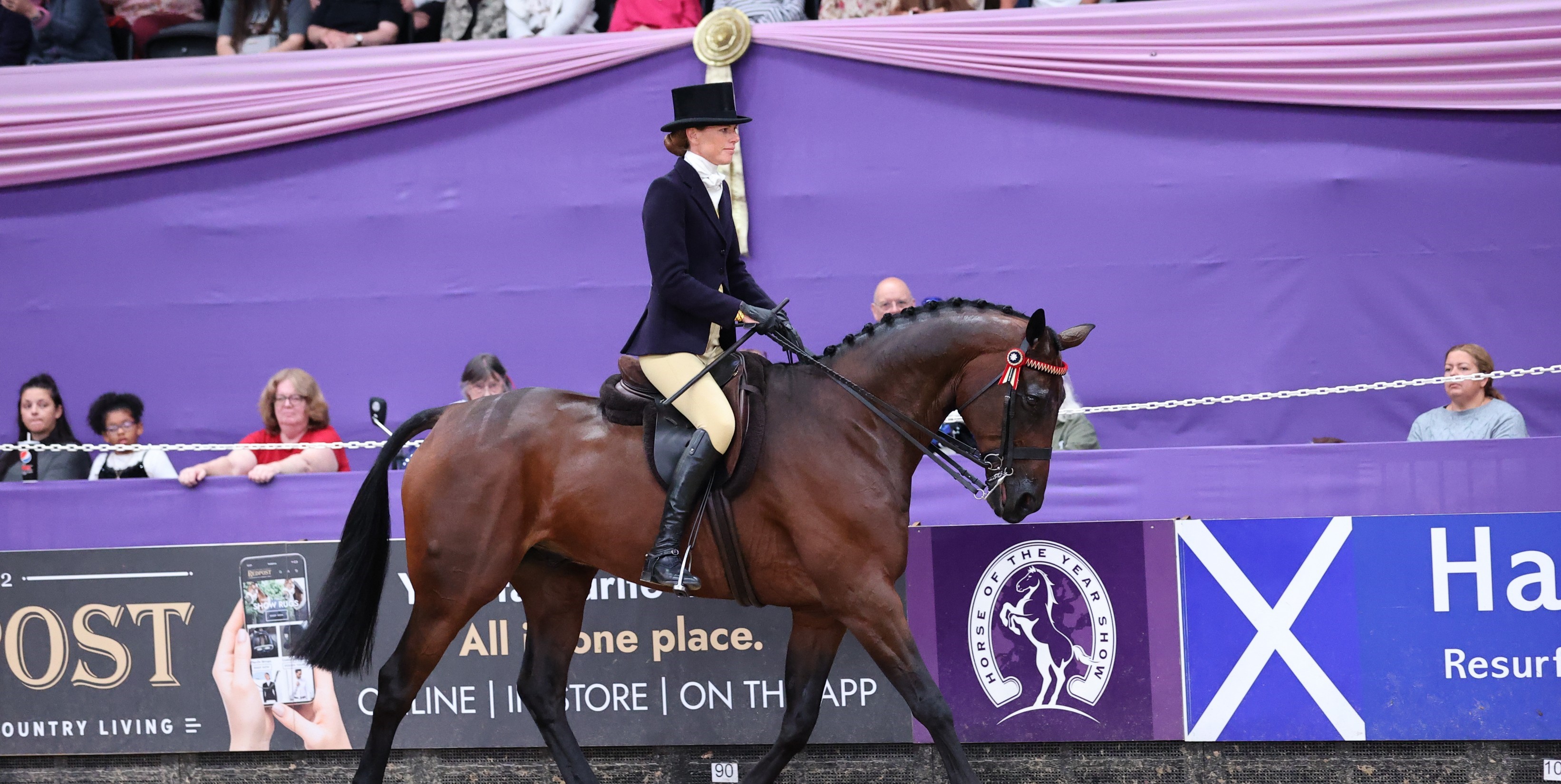 Amateurs rule the SEIB Racehorse to Riding Horse HOYS Championship 2023