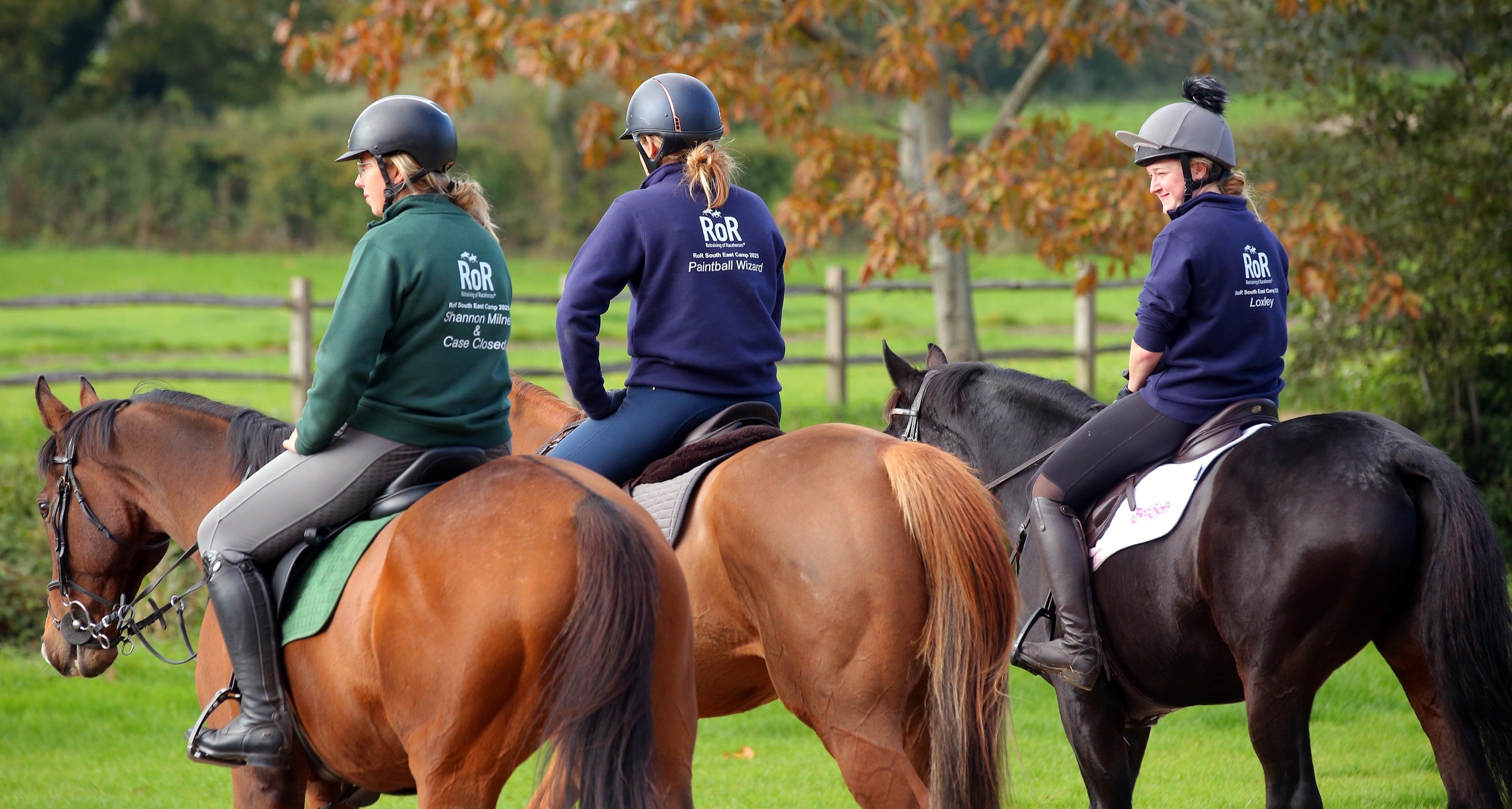 Former racehorses gain a stronger voice as Retraining of Racehorses joins British Equestrian
