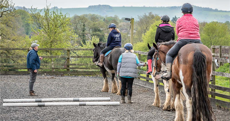 Collaboration enables equestrian centre to help those struggling with mental health