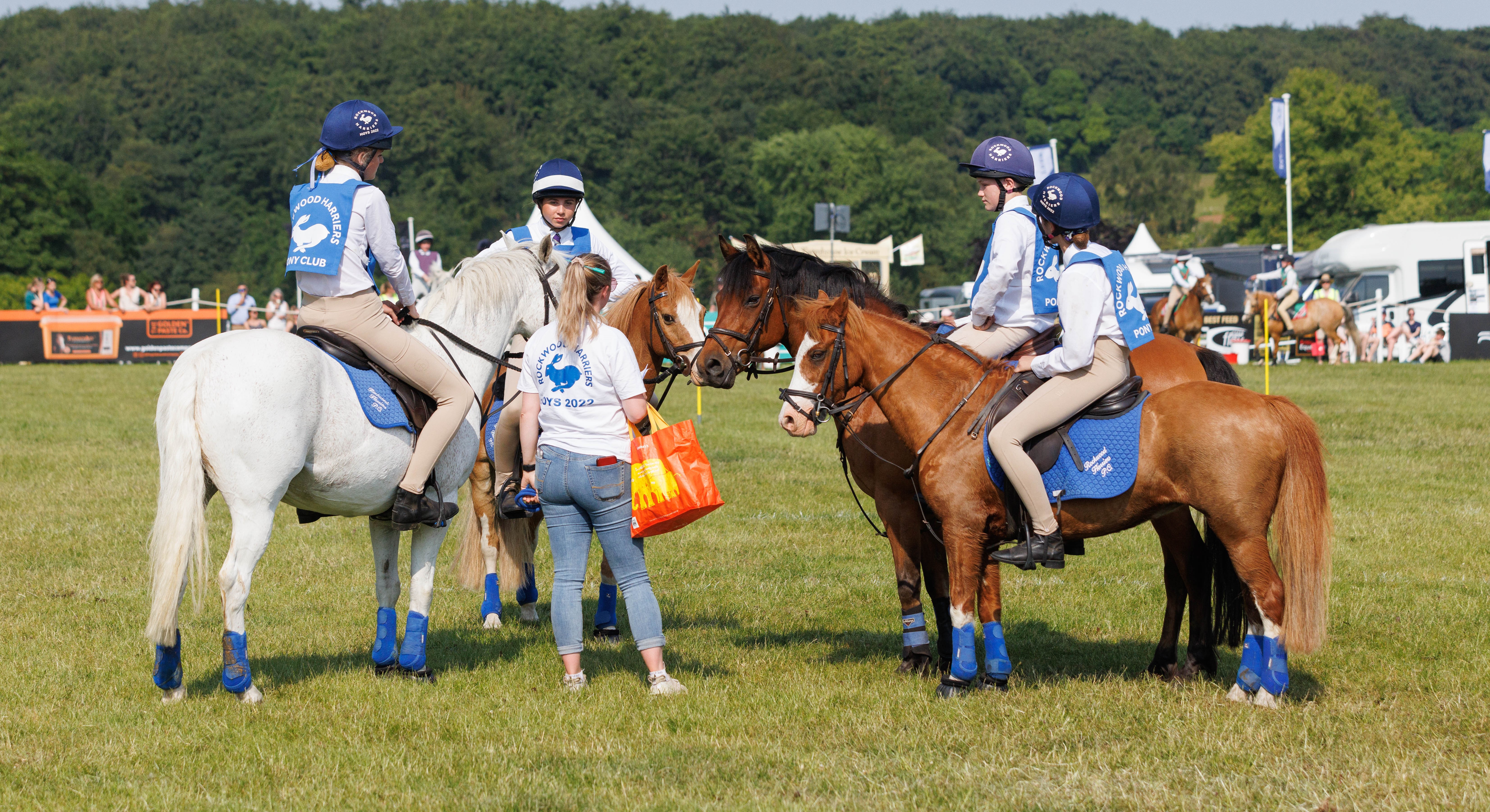 British Equestrian seeks research partner to determine social value of equestrian sector