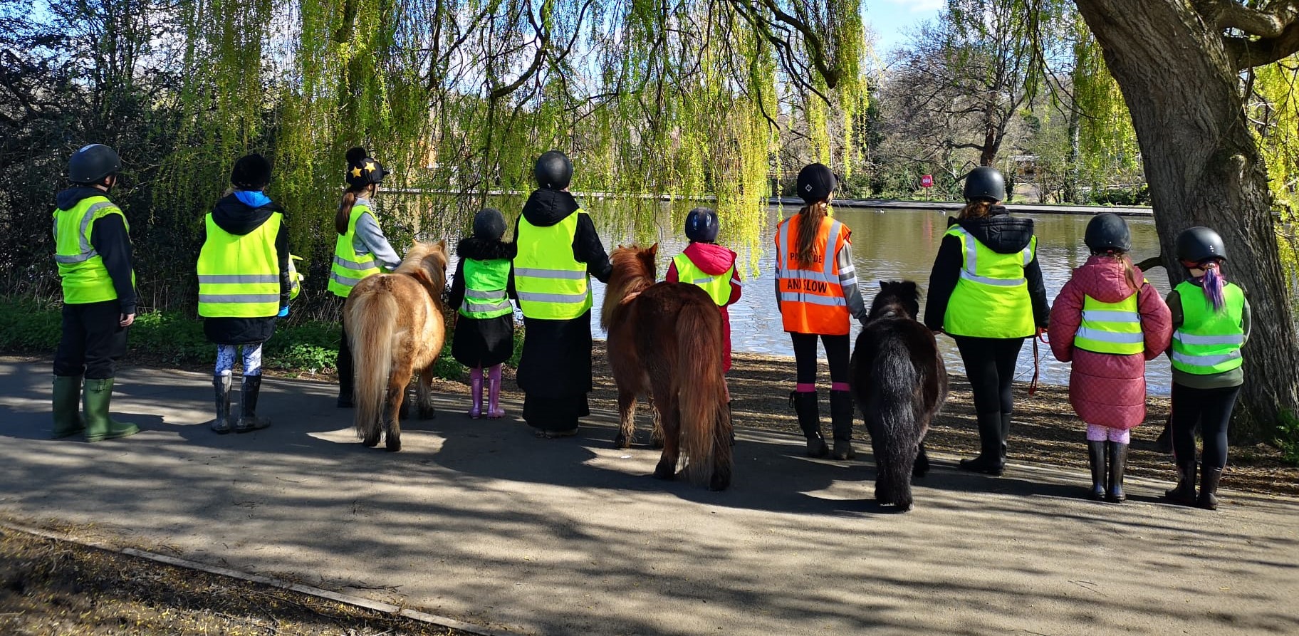 Summerfield Stables use funding to engage youngsters with horses