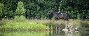 Have your say: environmental sustainability in the equestrian industry