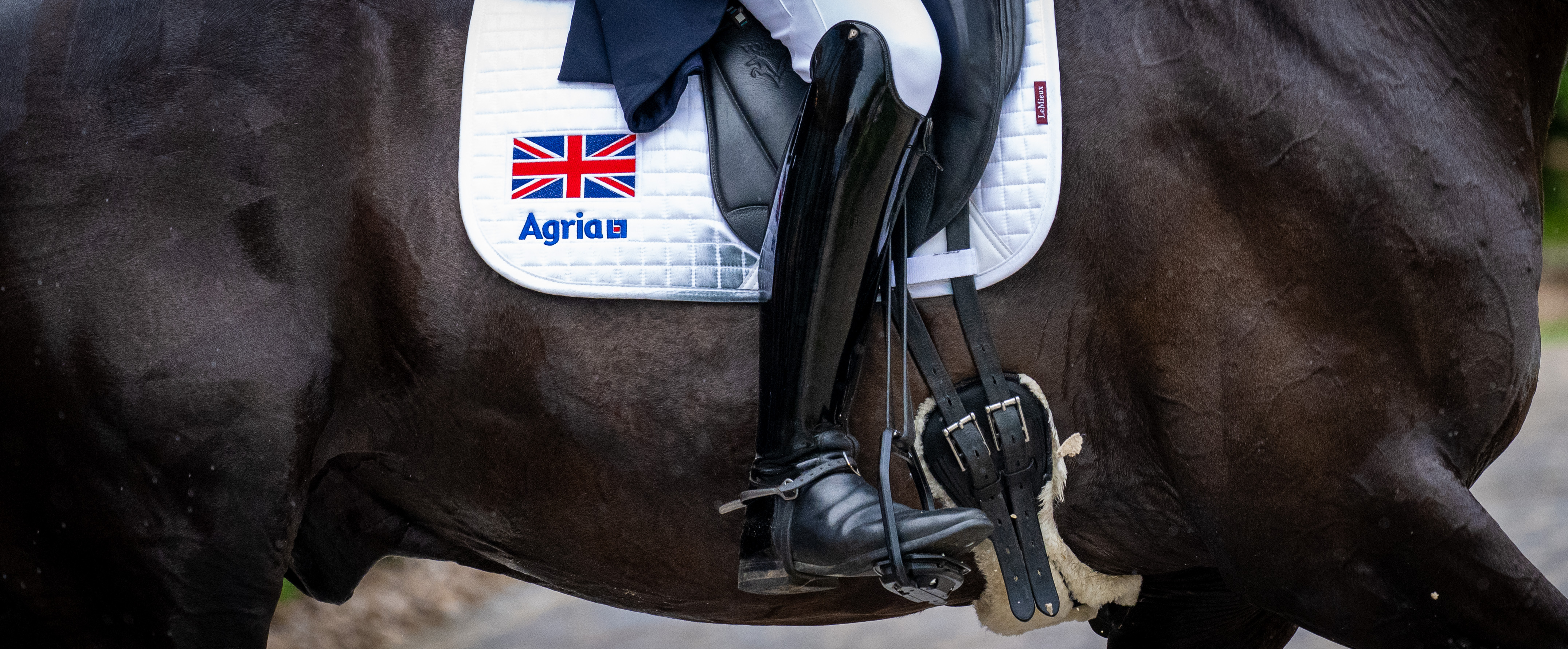 Statement: Andrew Gould and Indigro eliminated on veterinary grounds at FEI Dressage European Championship 2025