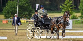 British Carriagedriving announces squads for FEI World and European Championships 2023