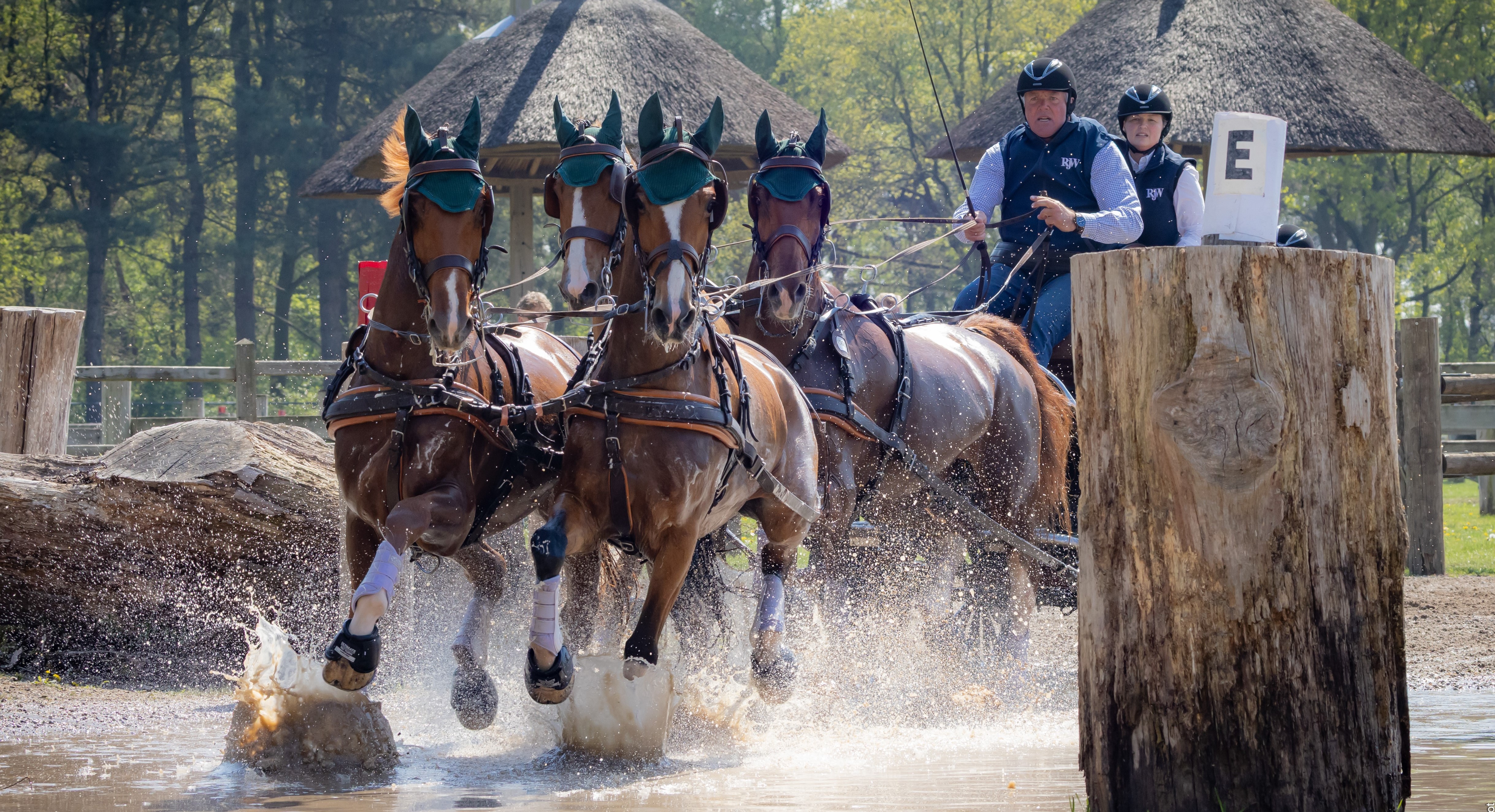 Squads announced for FEI Driving Championships