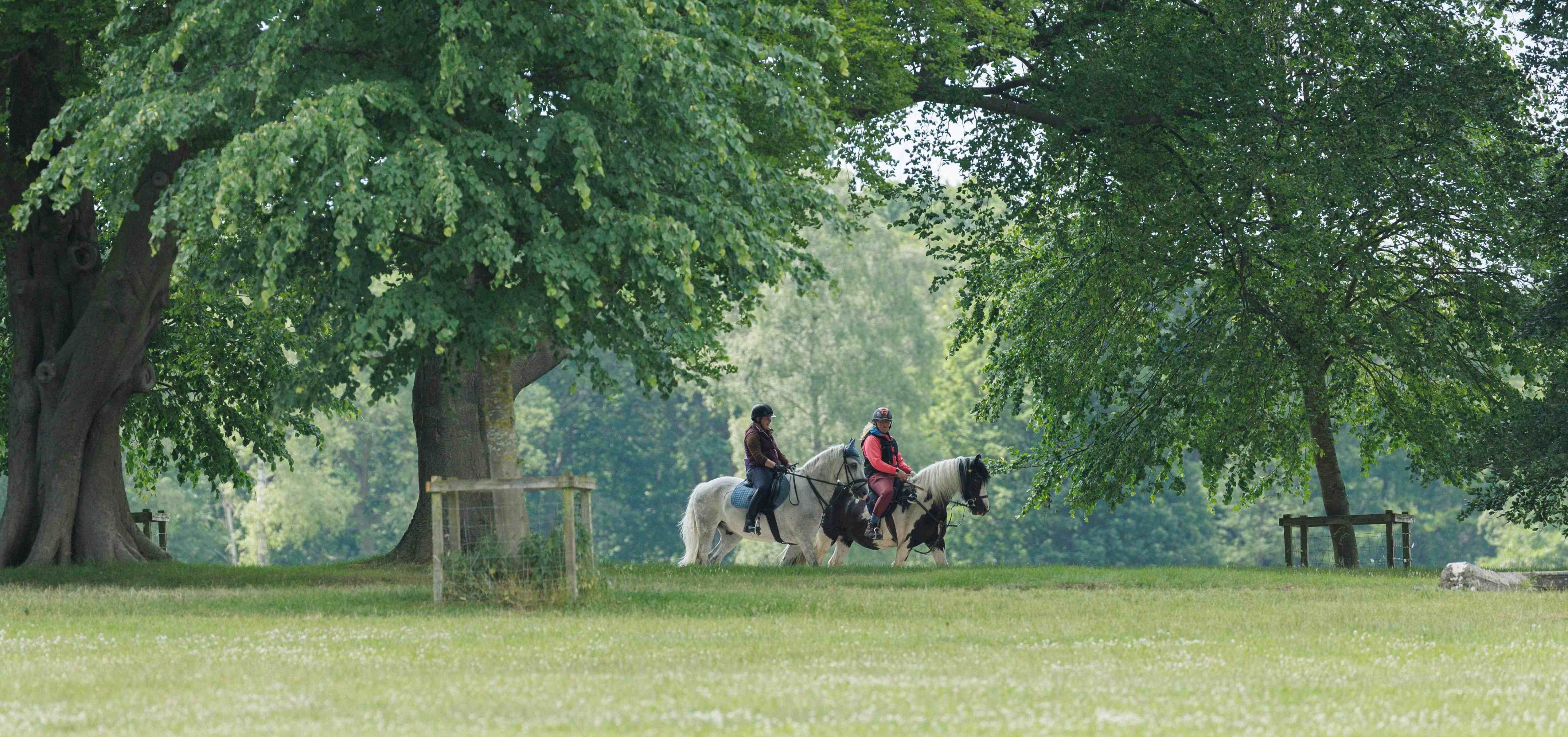 World Mental Health Day: Protecting Your Mental Health with Riders Minds