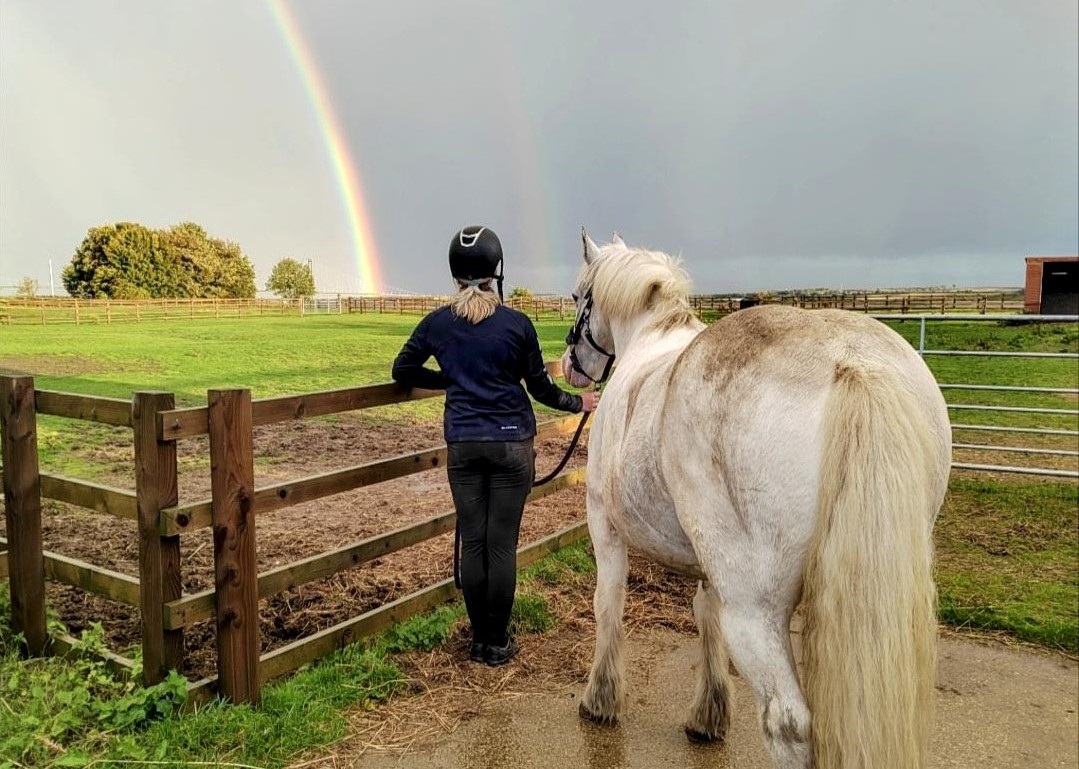 North Ferriby RDA: helping young people through animal assisted therapy