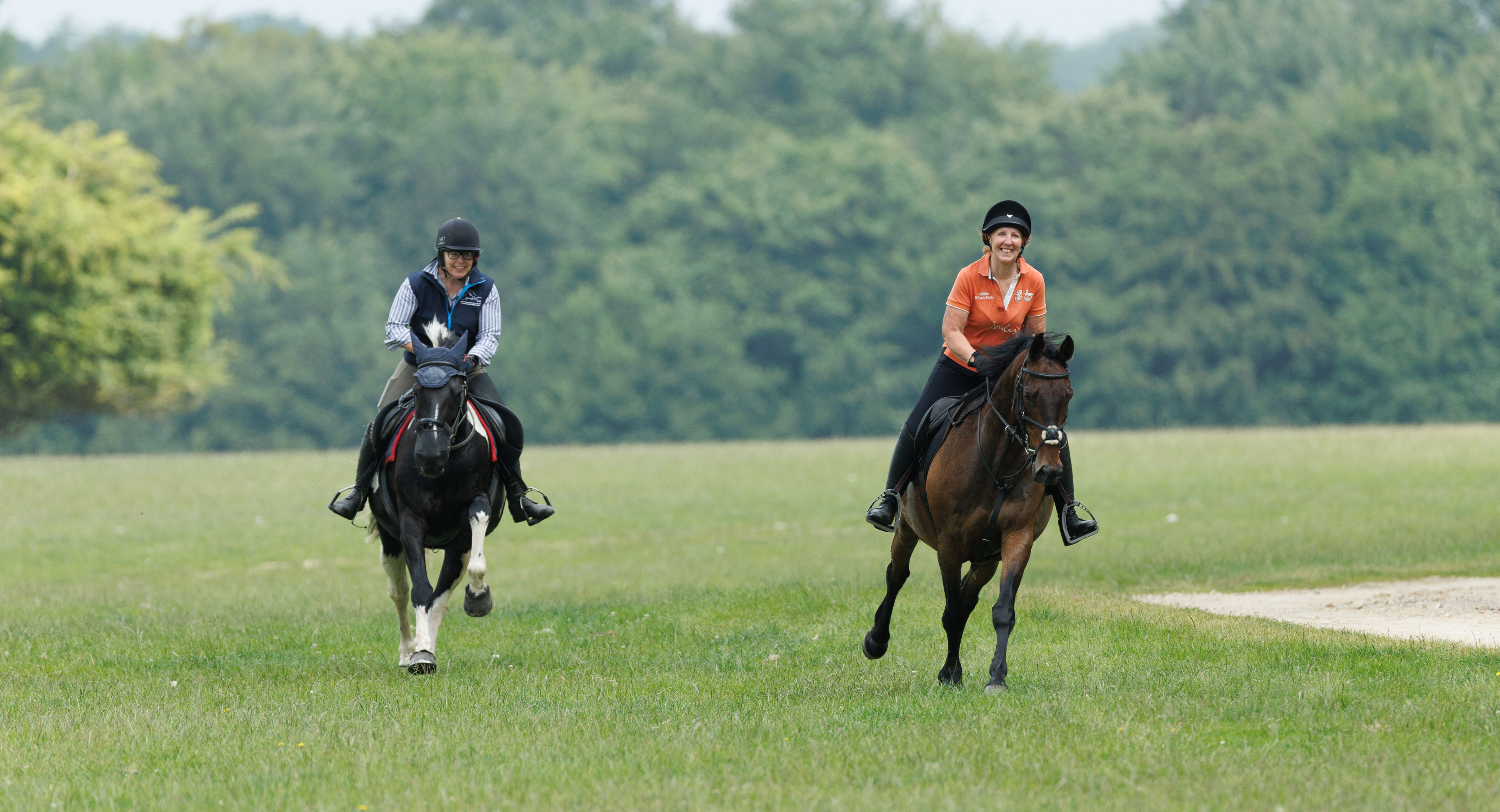 The power of horses: Equestrianism generates £1.2 billion in social value each year
