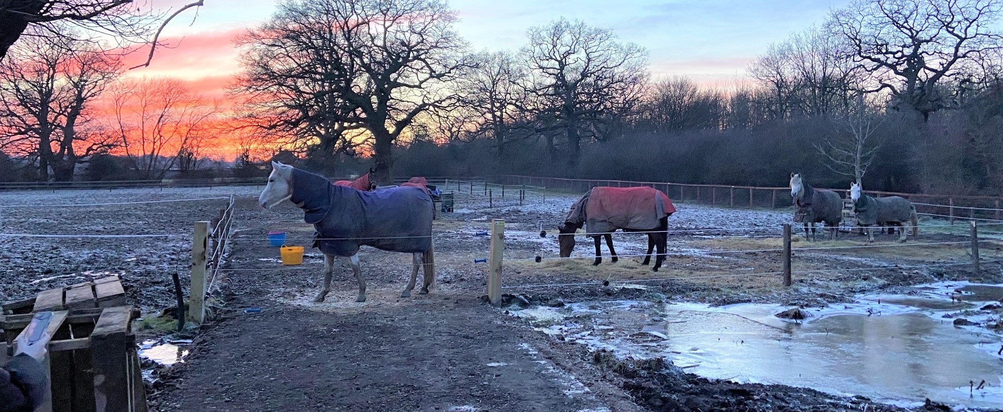 Equine assisted therapy centre in London uses Together Fund to encourage participation in equestrianism