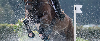 British Equestrian announces nominated entries for FEI Eventing World Championship